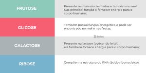 Tudo Sobre Carboidratos Conceitos Classifica O E Muito Mais