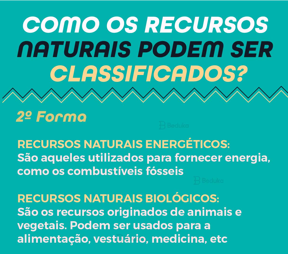 O Que São Recursos Naturais Exemplos