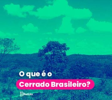 O que é o cerrado brasileiro?