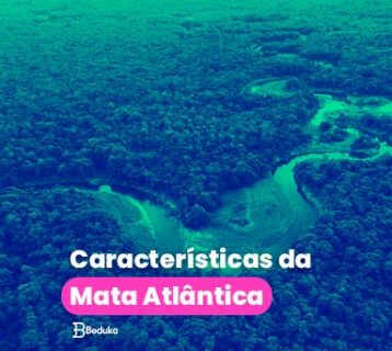 principais características da Mata Atlântica
