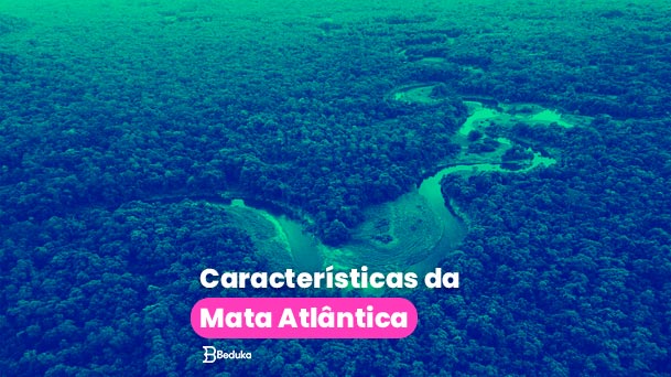 Quais as Principais Características da Mata Atlântica? [Completo]