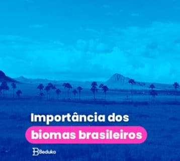 importância dos biomas brasileiros