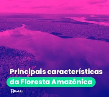 principais características da Floresta Amazônica