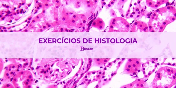 Exercicios Com Gabarito De Histologia E Revisao Para O Enem