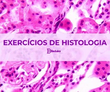 Exercícios de Histologia