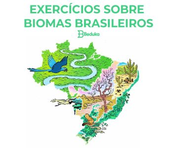 Exercícios Sobre Biomas Brasileiros Archives - Blog Do Beduka ...