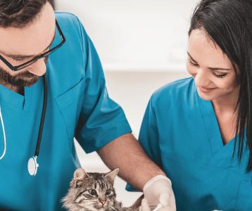 Nota de Corte para Medicina Veterinária