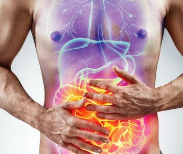 fisiologia do sistema digestivo