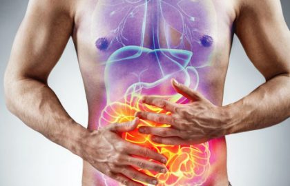 fisiologia do sistema digestivo