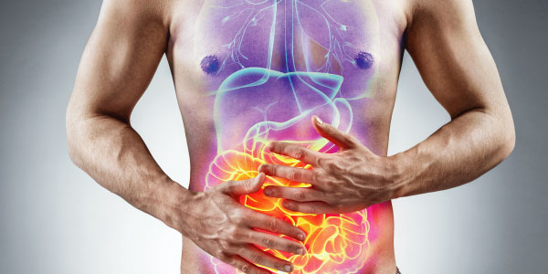 ▷ Fisiologia do Sistema Digestivo - Principais órgãos, anatomia e digestão