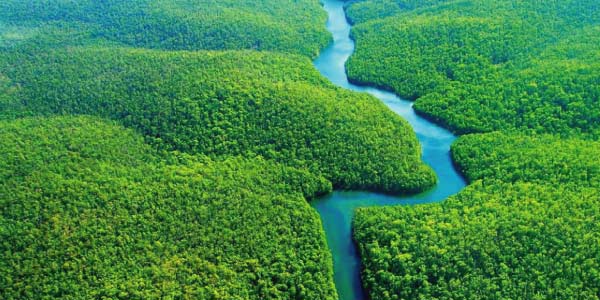 Amazônia. Imagem de planície verde com um rio cortando pelo centro