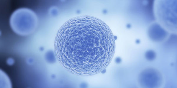 Resumo E Exercicios Sobre Celulas Com Gabarito