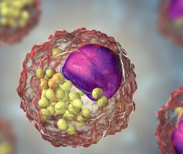 O que são lipídios