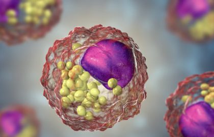 O que são lipídios