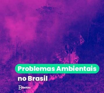 Problemas Ambientais no Brasil