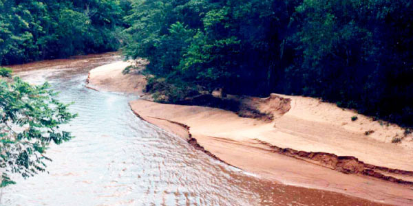 assoreamento de rio como problema ambiental no Brasil