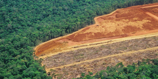 desmatamentos são mais comuns como problemas ambientais no Brasil