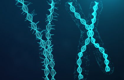 O que é Material Genético