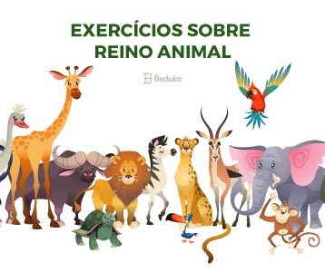Exercícios sobre Reino Animal