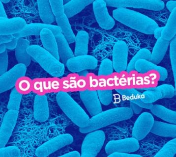 Descubra o que são Bactérias e o que se passa no seu fantástico mini mundo!