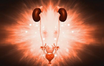 Resumo do Sistema Urinário