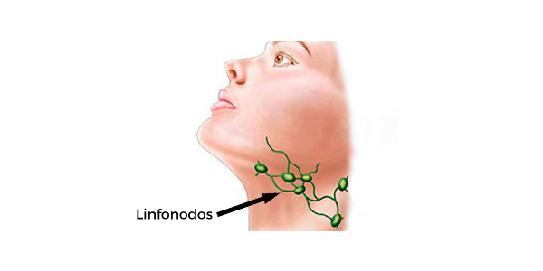 linfonodos