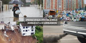 As 10 Melhores Questões Sobre Problemas Ambientais