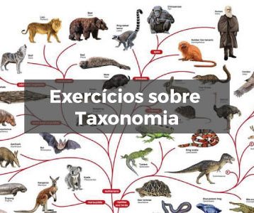 Exercícios sobre Taxonomia