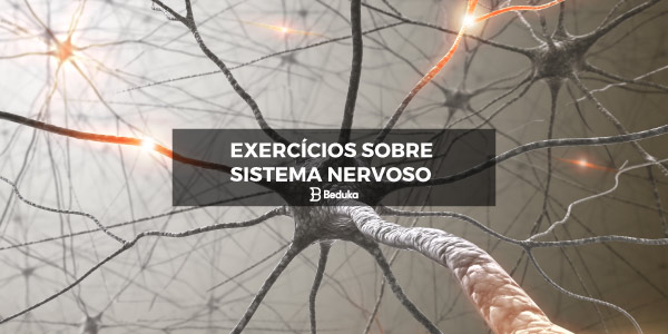 Atividades Sobre Sistema Nervoso - Ensino Fundamental  Sistema nervoso,  Atividades de ciência, Atividades sobre