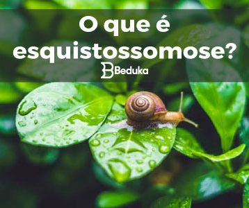 O-QUE-É-ESQUISTOSSOMOSE