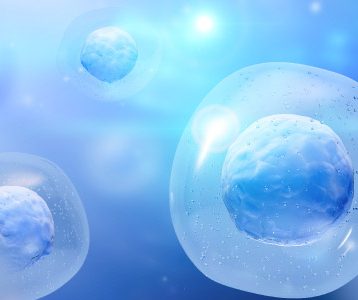 O que é Respiração Celular