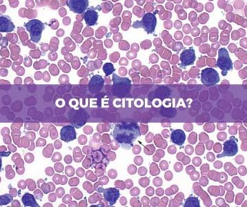 O que é Citologia