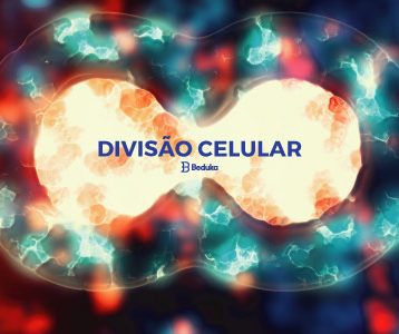 O que é Divisão Celular
