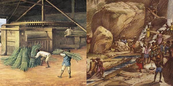 ouro-cana de açúcar-Exercícios sobre Revoltas do Período Colonial