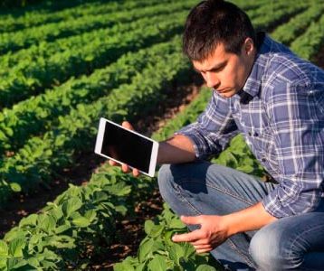 Nota de Corte Engenharia Agronômica
