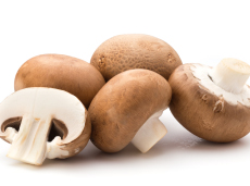 Champignon - Exercícios sobre Fungos