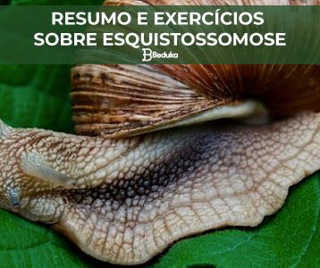 Exercícios sobre Esquistossomose