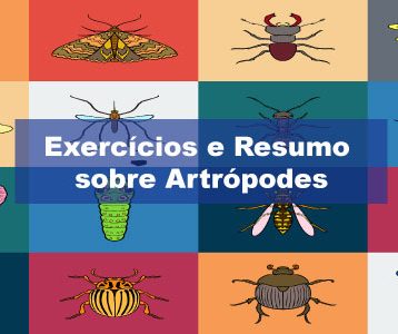 Exercícios sobre Artrópodes