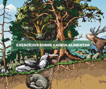 Exercícios sobre Cadeia Alimentar