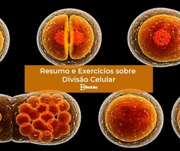 Exercícios sobre Divisão Celular