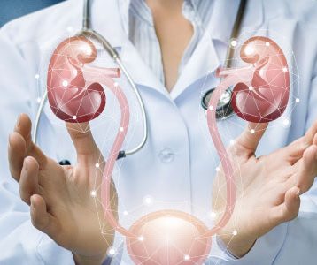 Exercícios sobre Sistema Urinário