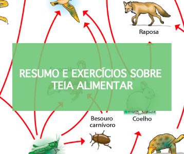 Exercícios sobre Teia Alimentar