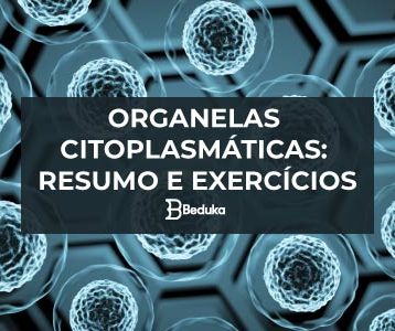 Questões sobre Organelas Citoplasmáticas