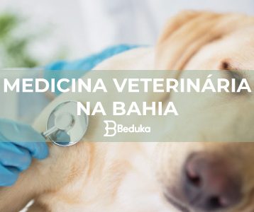 SAIBA-QUAIS-AS-MELHORES-FACULDADES-DE-MEDICINA-VETERINÁRIA-NA-BAHIA