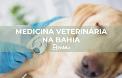SAIBA-QUAIS-AS-MELHORES-FACULDADES-DE-MEDICINA-VETERINÁRIA-NA-BAHIA