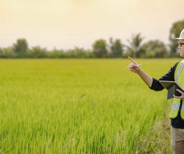 Nota de Corte Agronomia