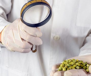 Nota de Corte Engenharia de Alimentos
