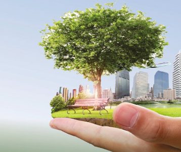 Nota de Corte Gestão Ambiental