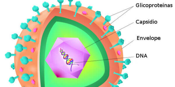 estrutura virus