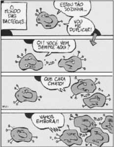 questao de mitose e meiose